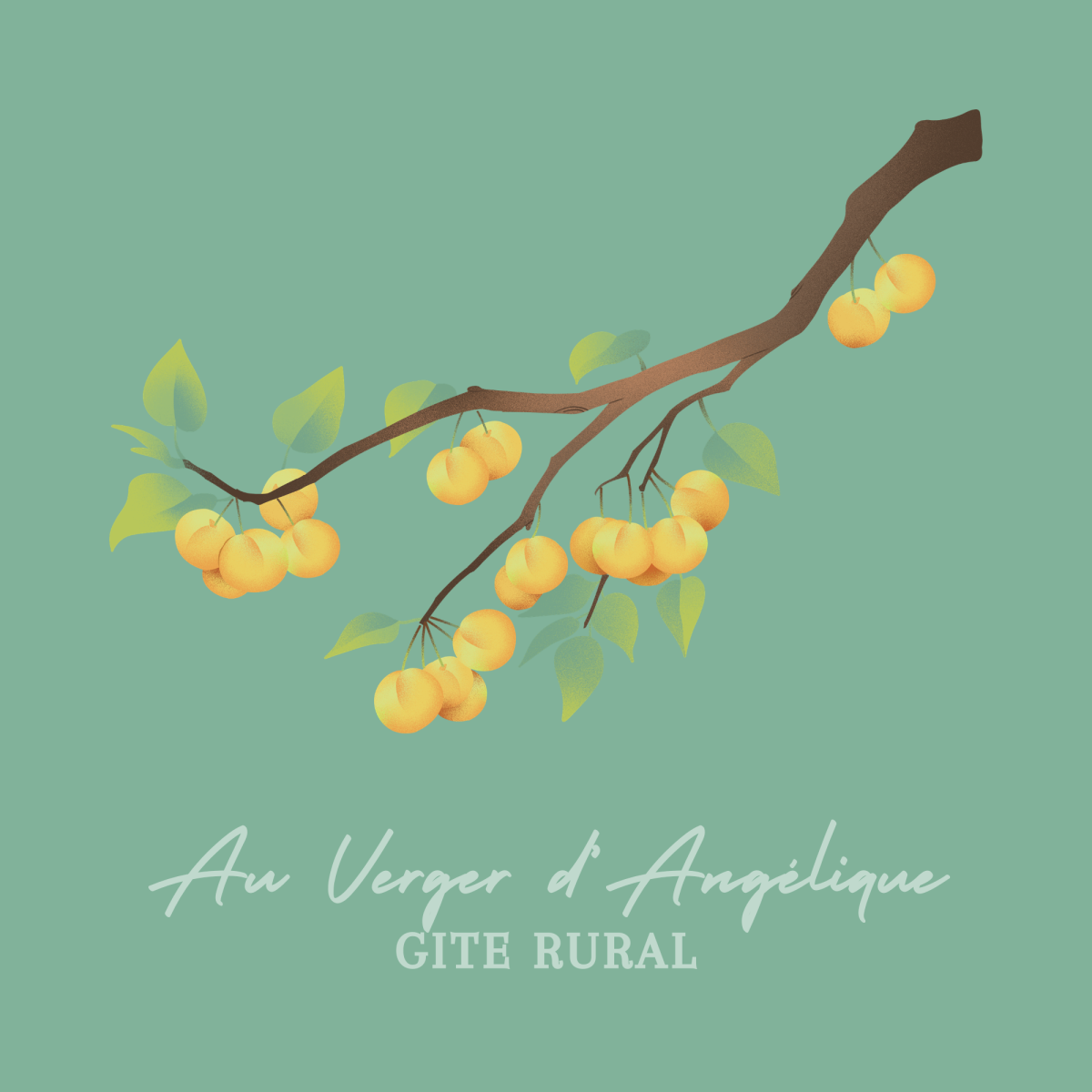 giteduverger.be